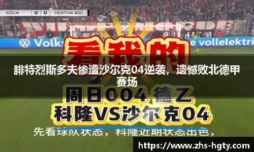 腓特烈斯多夫惨遭沙尔克04逆袭，遗憾败北德甲赛场